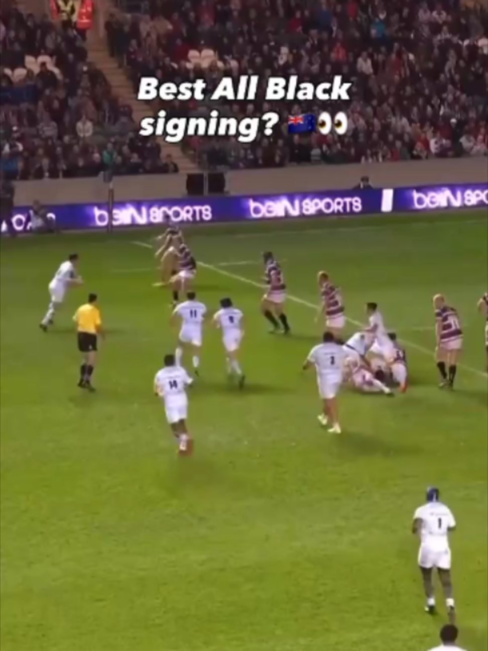 @Investec Champions Cup