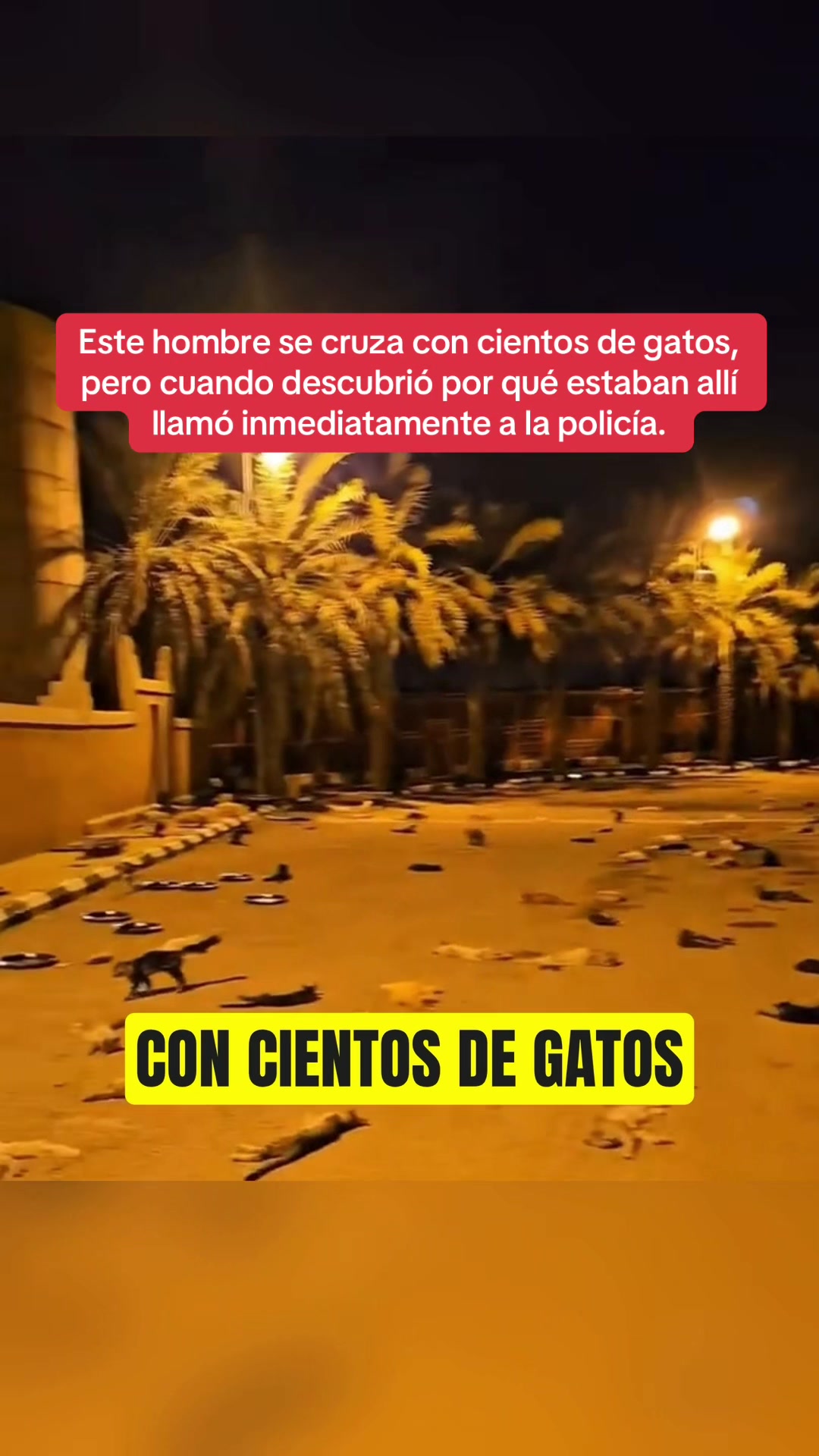 @Hist&oacute;ria_real_estrangeiro
