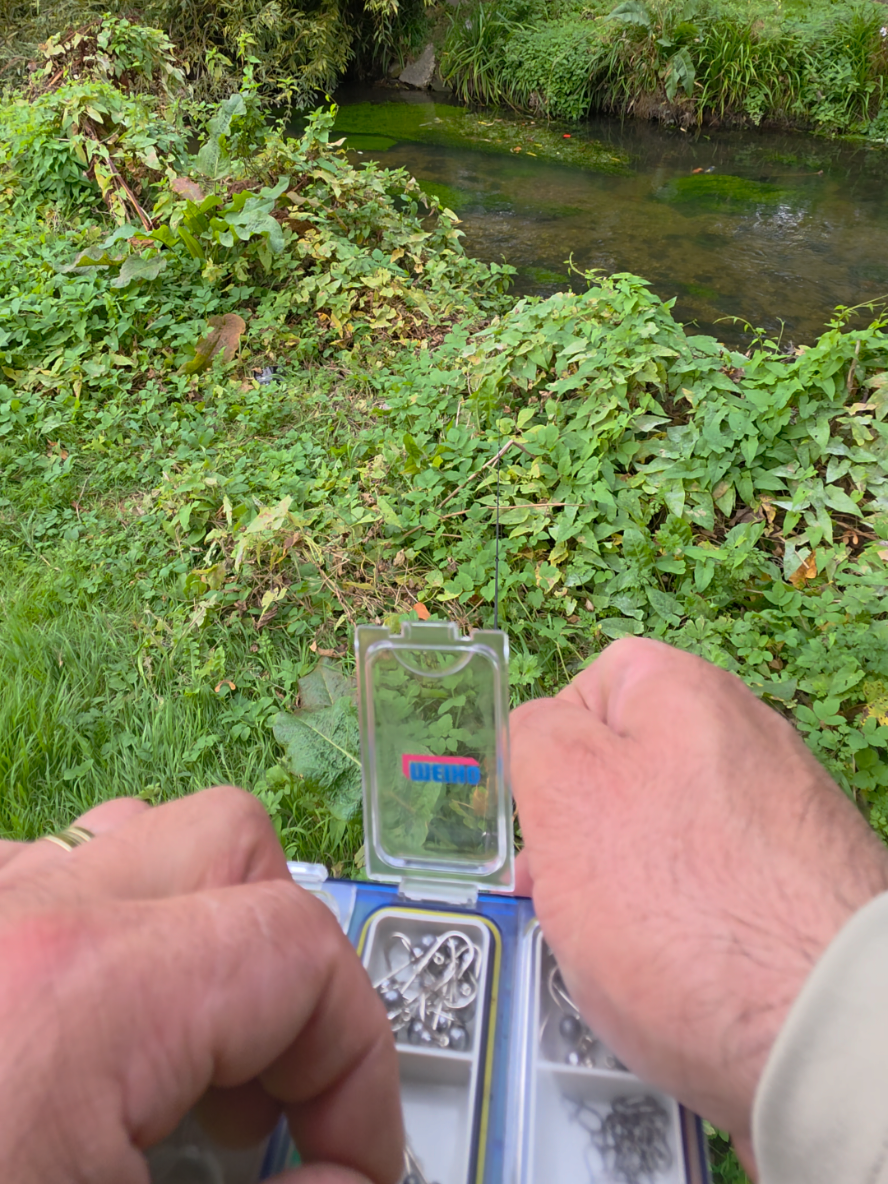 @BF Angler