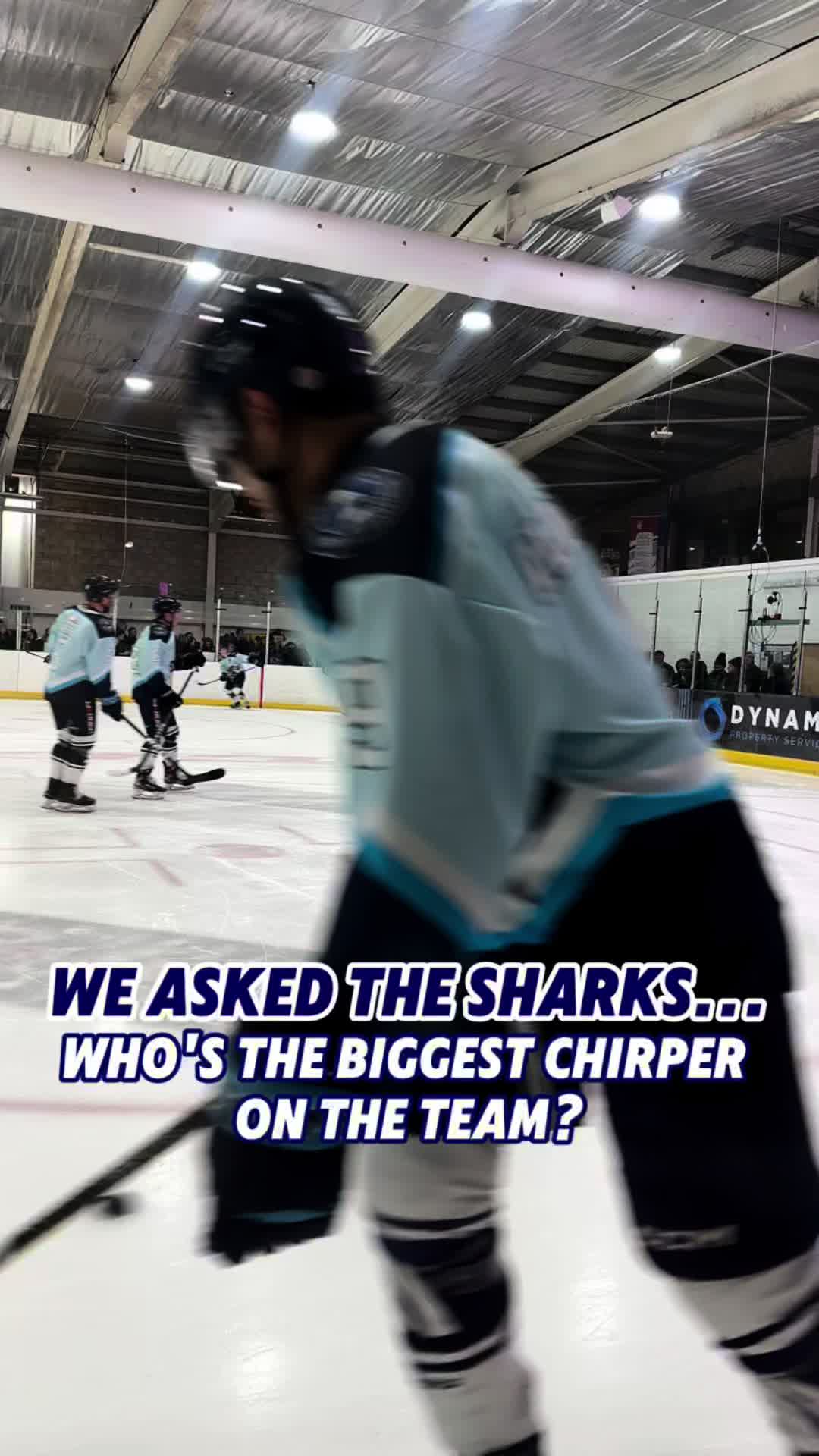 @Solway Sharks Official