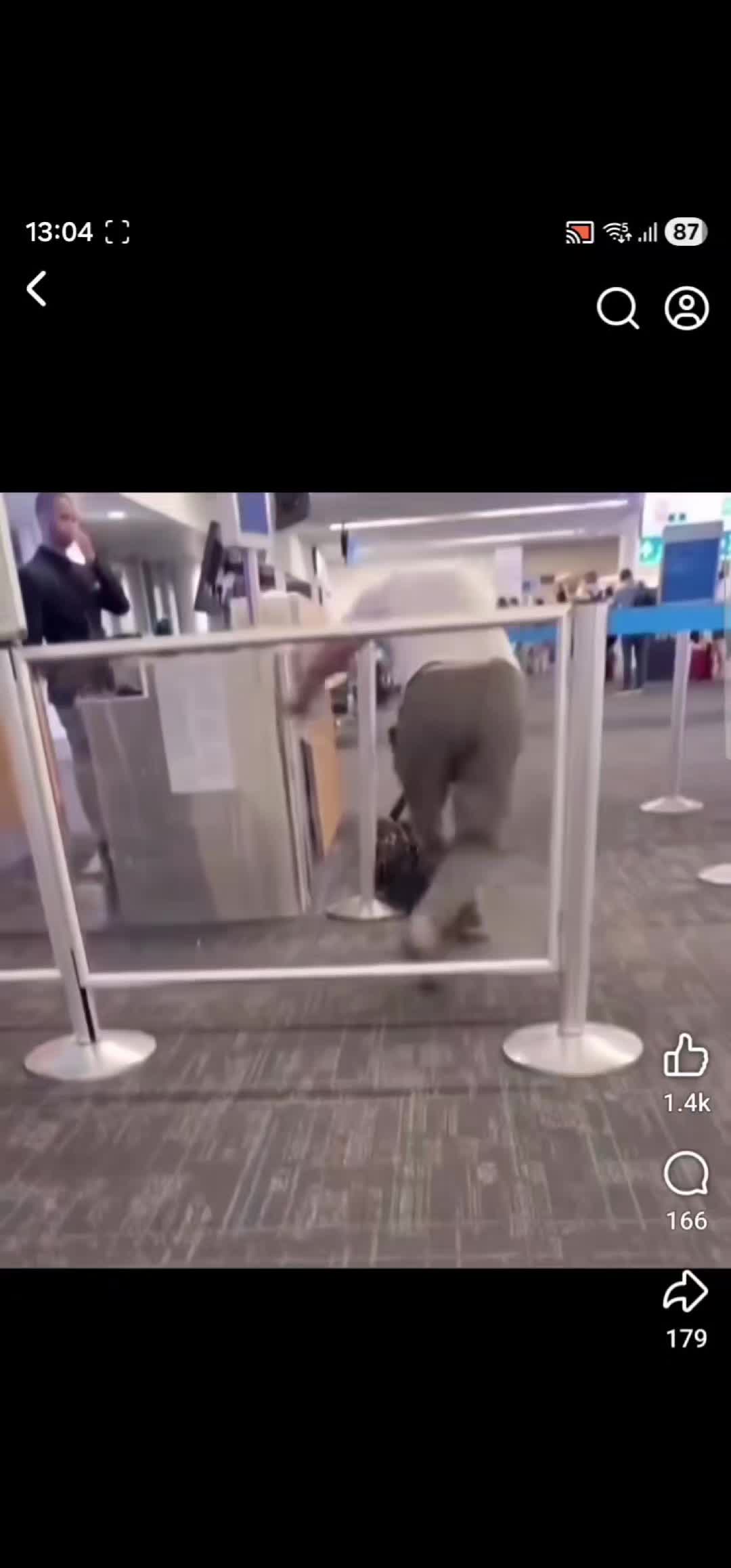 @MadMaddenAviation