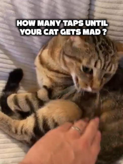 @Zack Nani