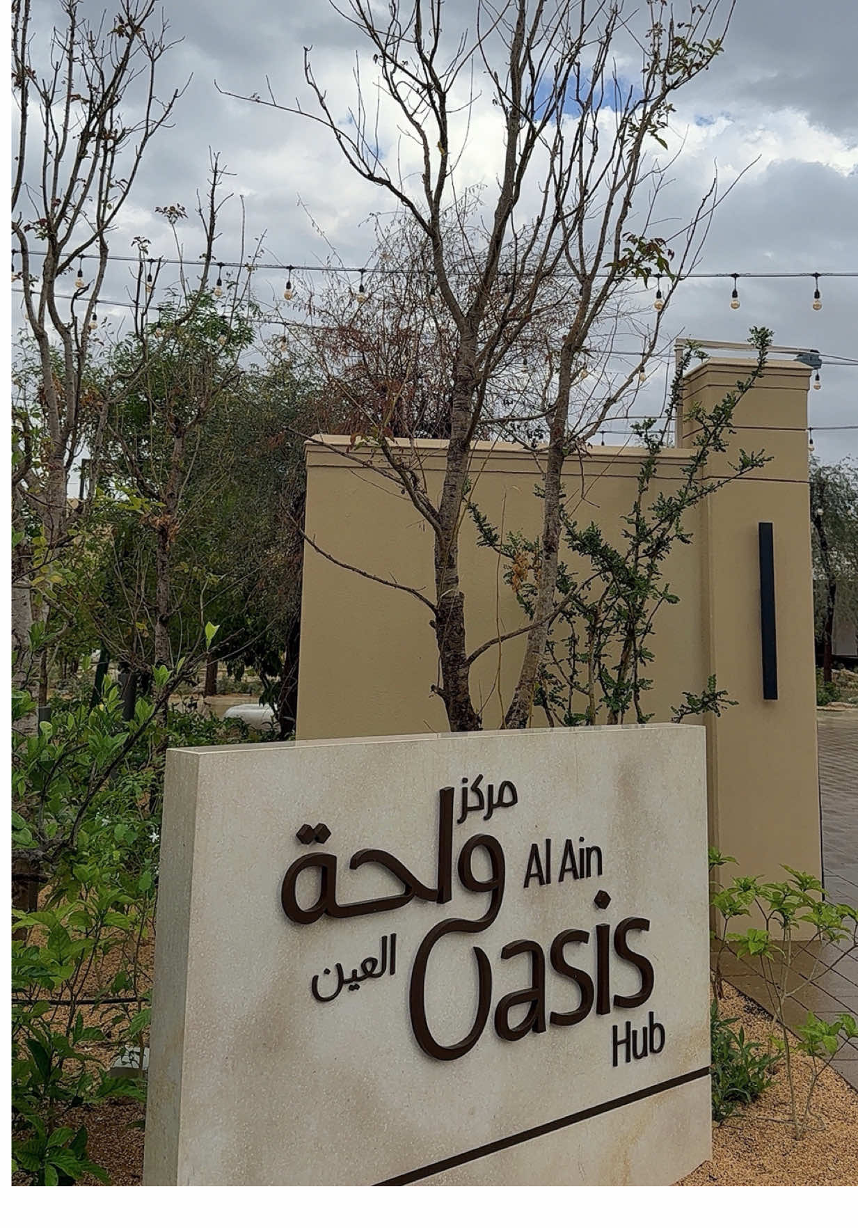 @حمد .