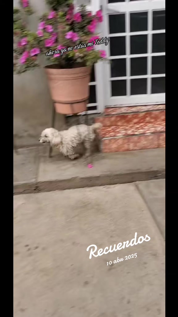 @RuBi
