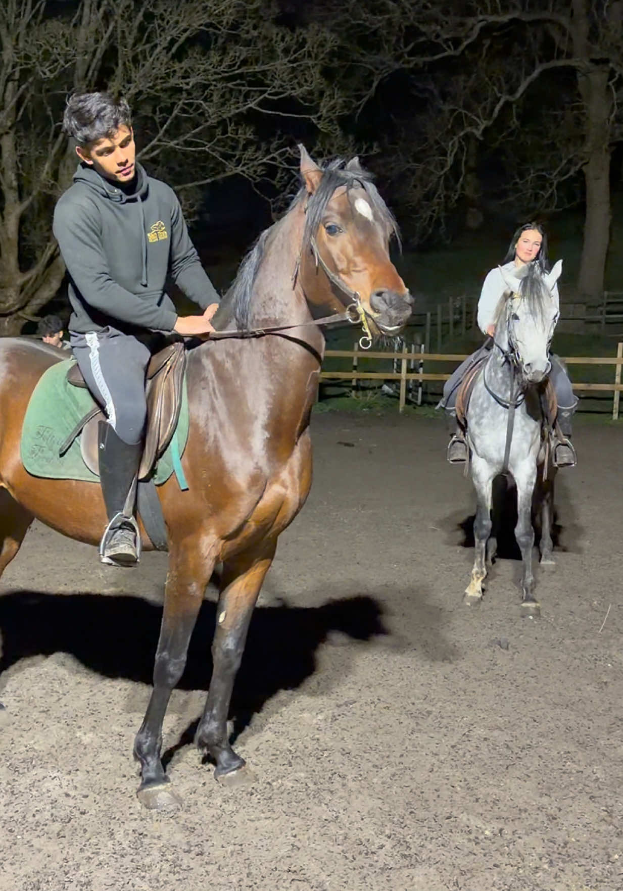 @thekhansarabianstudfarm