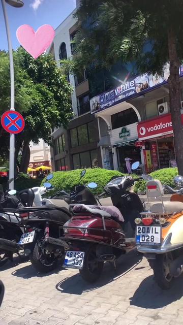 @TC Melek Günay Ayvaz