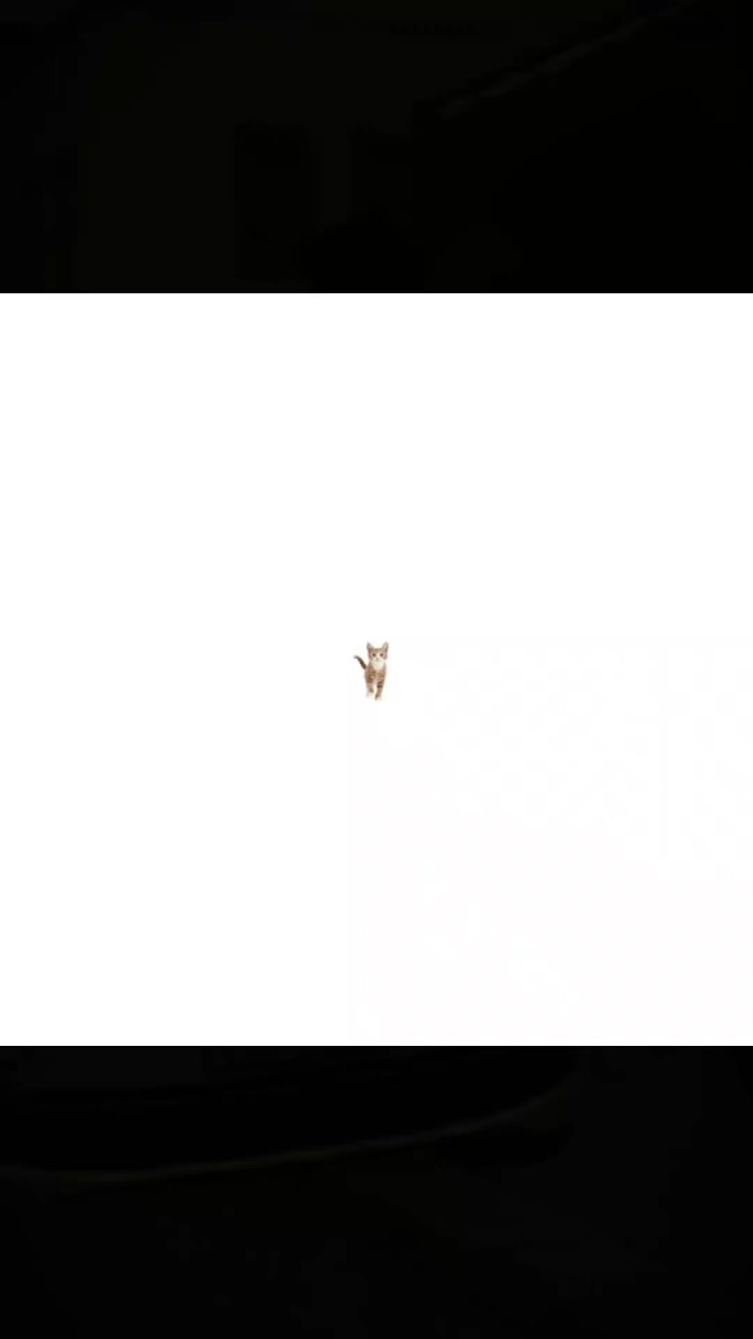 @SOR1IK