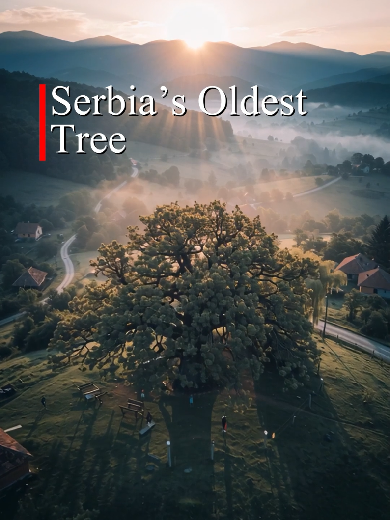 @serbia. actually