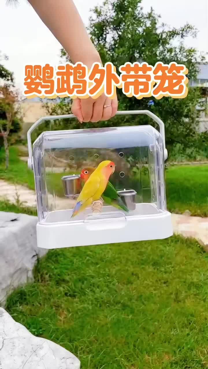 @chinabirds47