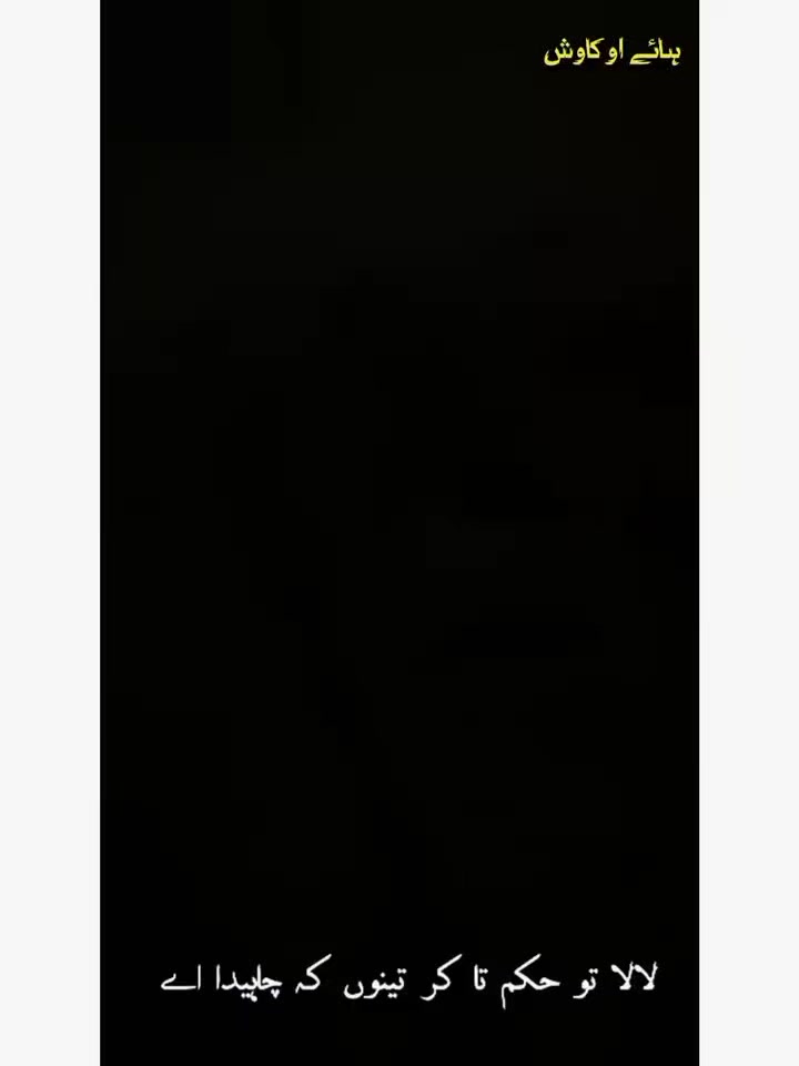 @amirjni46