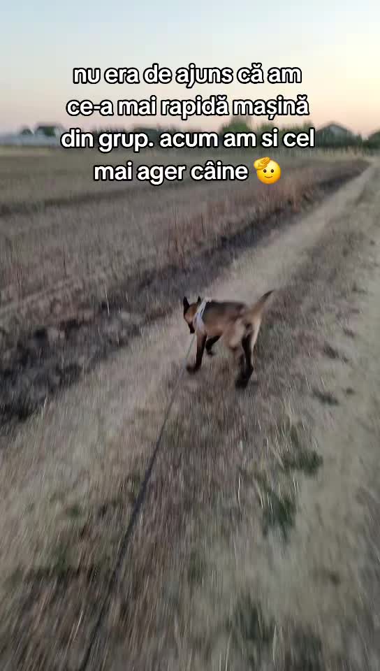 @Cristi Ionescu