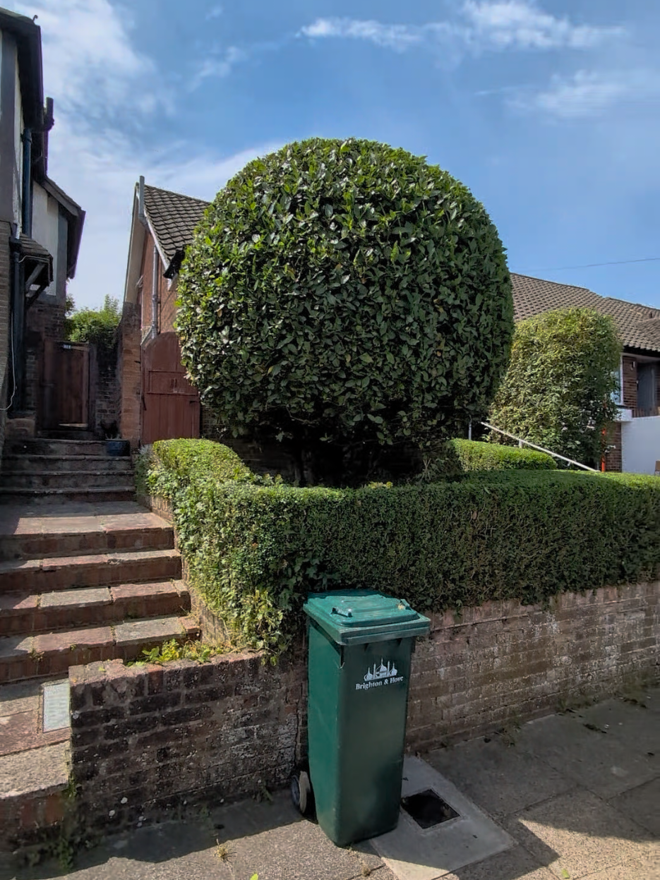 @Gary Hall Garden Services