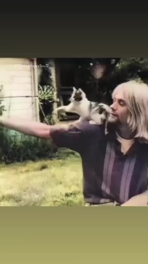 @𝐇𝐄𝐀𝐑𝐓 𝐒𝐇𝐀𝐏𝐄𝐓 𝐁𝐎𝐗