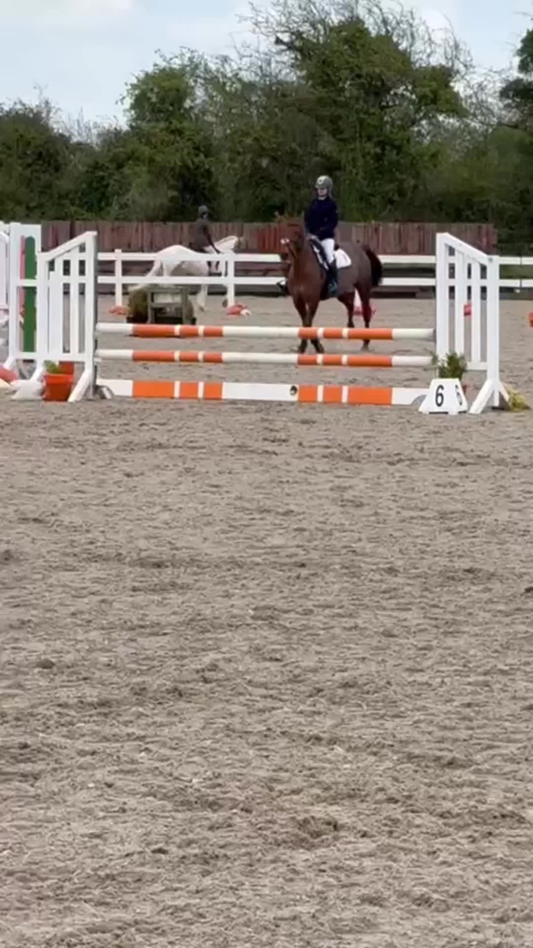 @𝓐𝓶𝔂𝓪𝓻𝓴𝓲𝓷𝓼🇮🇪🐴🫶🏻