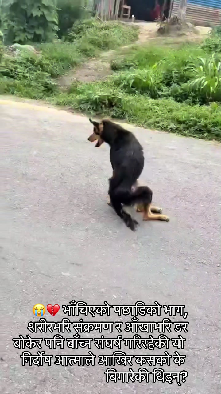 @Srijanathakuri