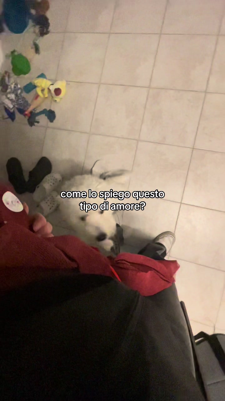 @mei