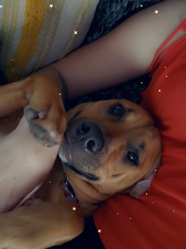 @Kane the friendliest Pit