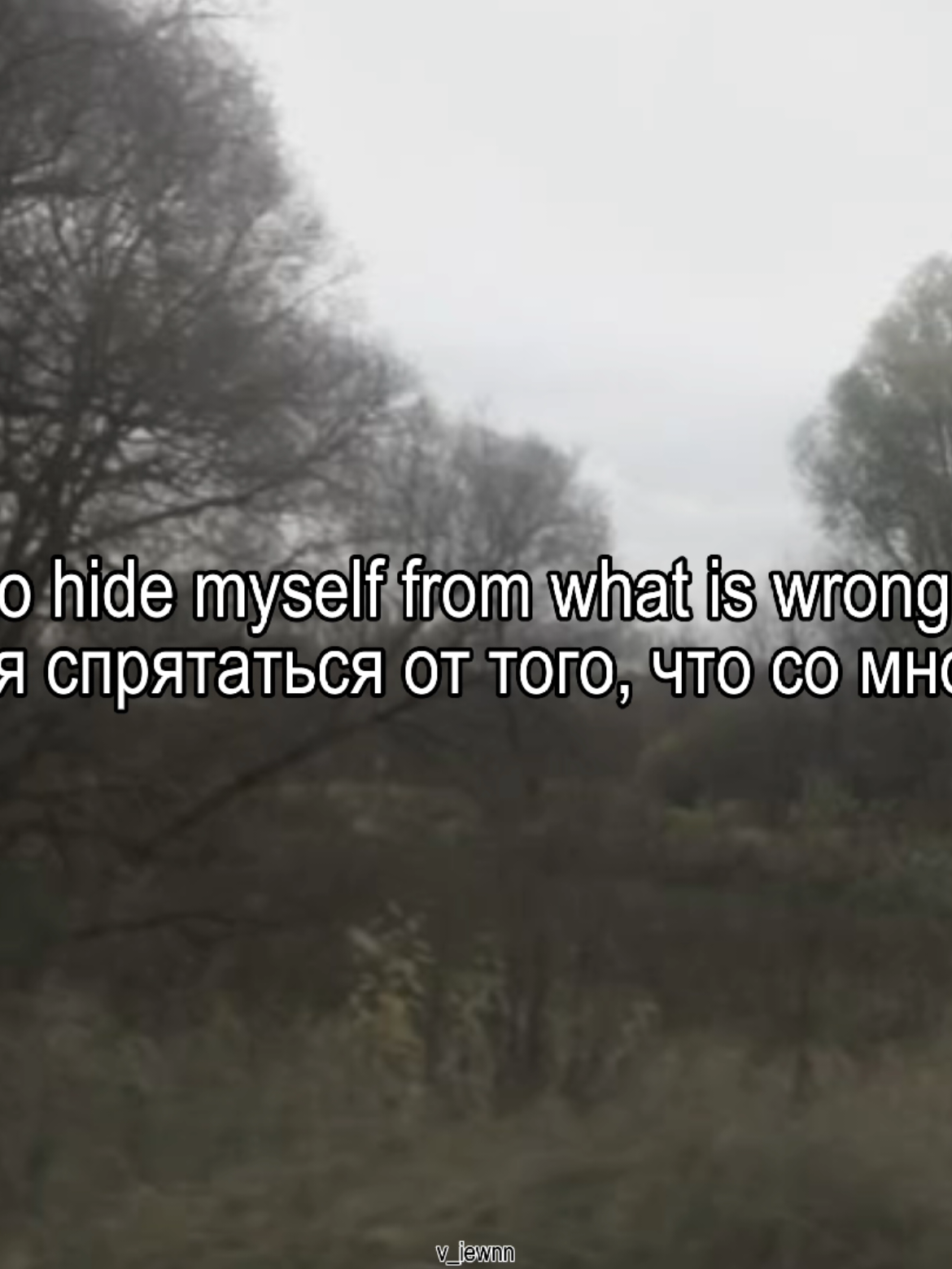 @𝓋𝒾ℯ𝓌𝒾𝓃'