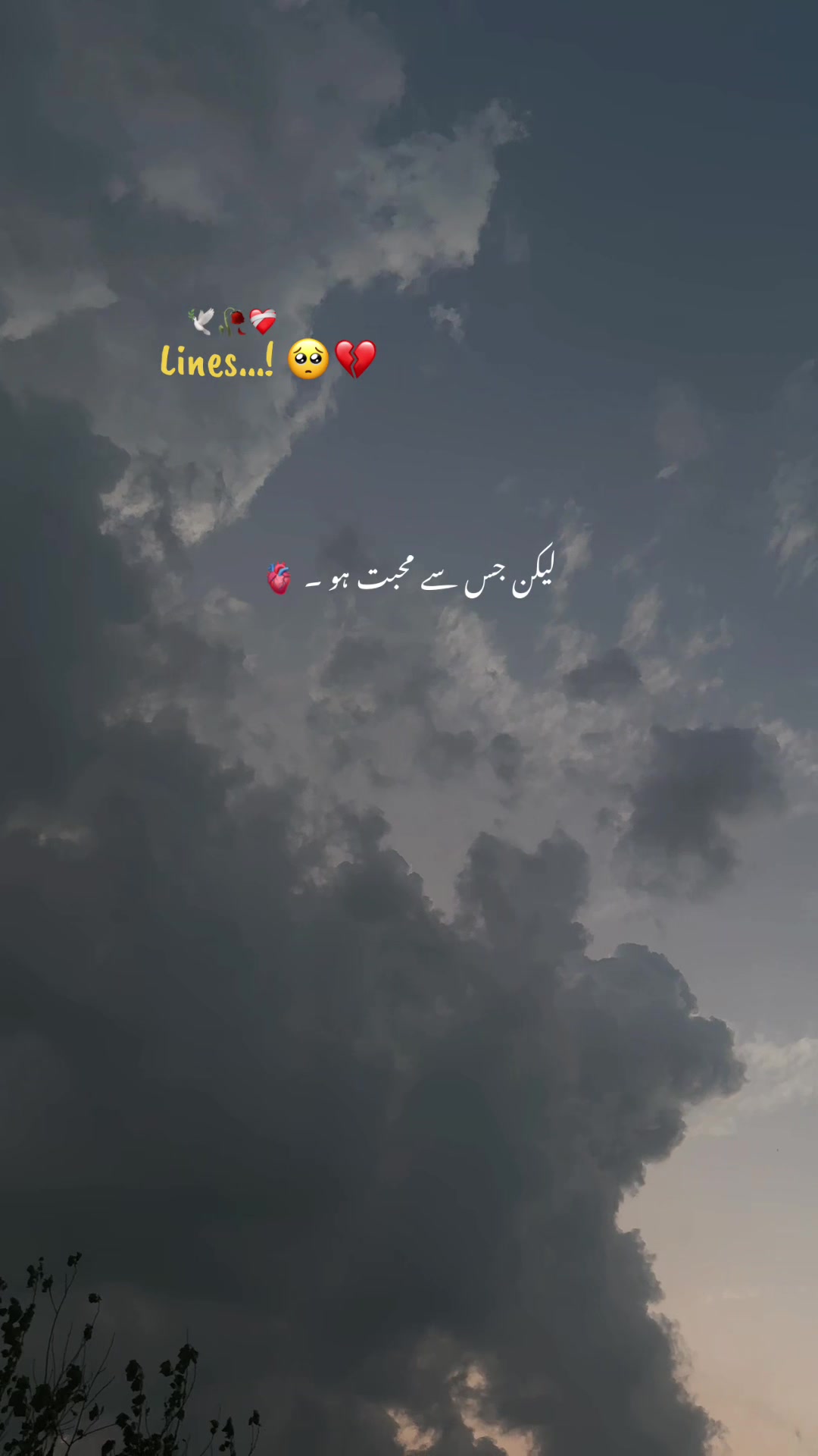 @𝘼𝙨𝙝𝙠-𝙚-𝘿𝙞𝙡 ❤️&zwj;🩹🥀