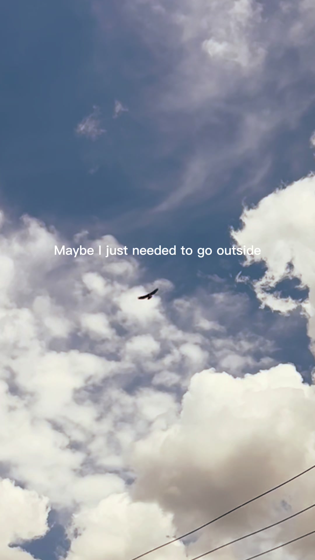 @Jami.Not.Jamie