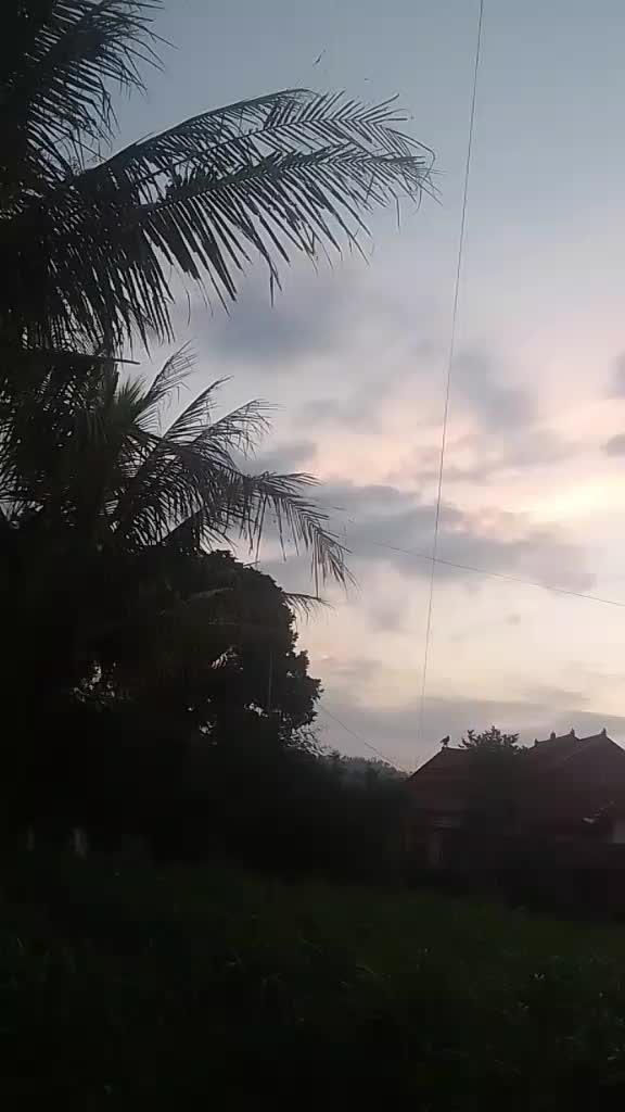 @senja