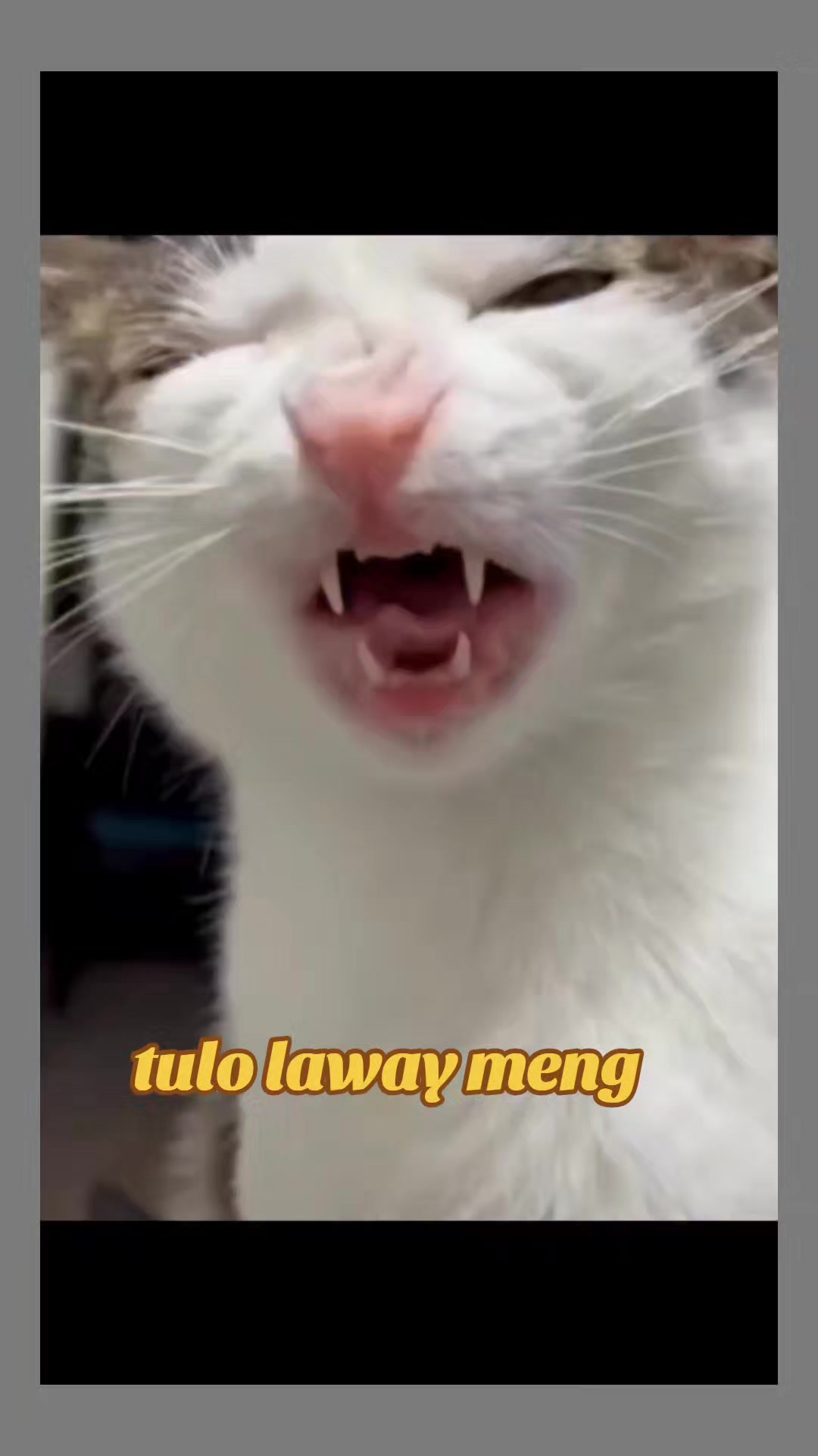 @هذه