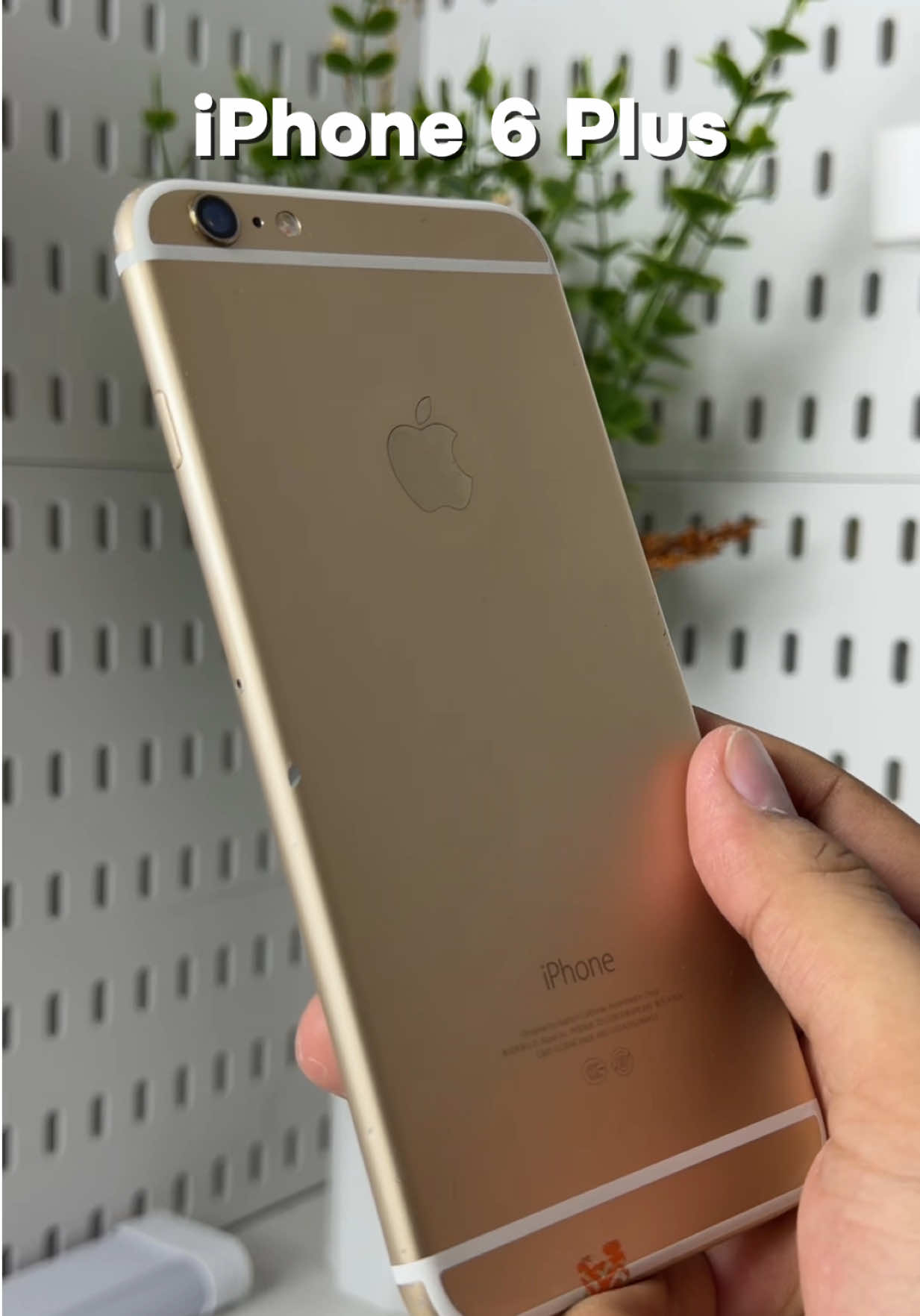 @iPhonary 🩷
