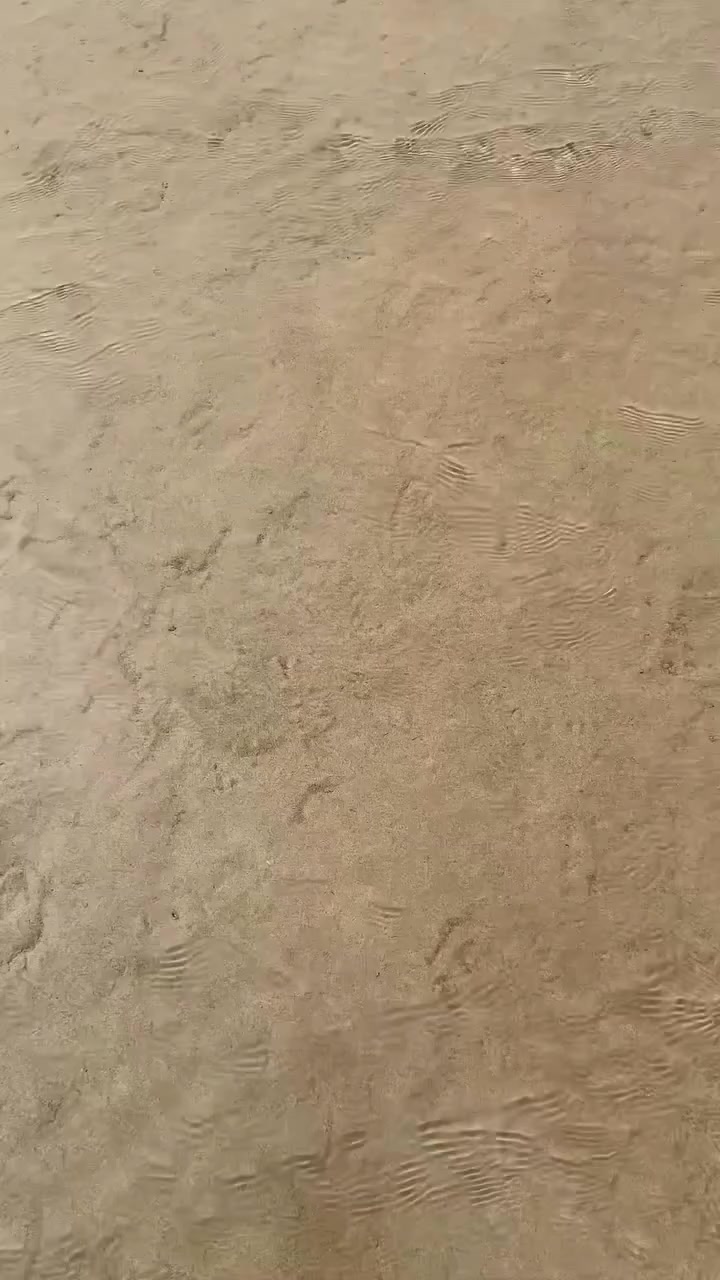 @The Calorie Corridor