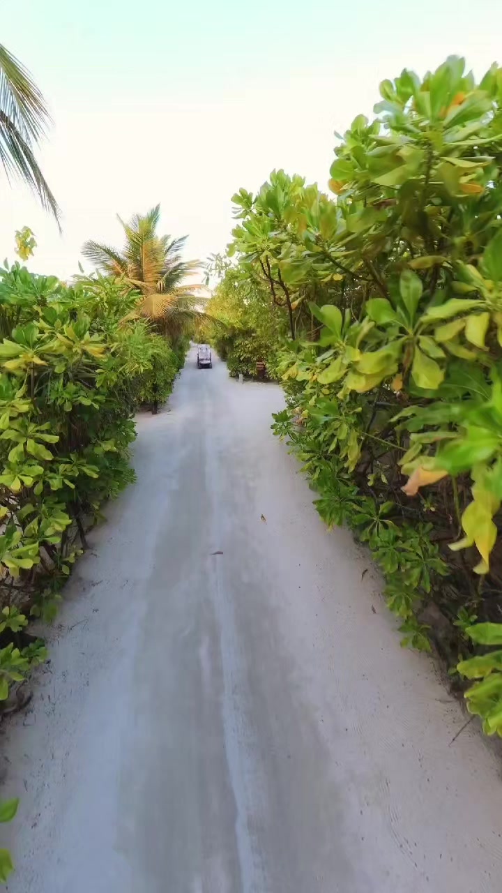 @Travel Trade Maldives