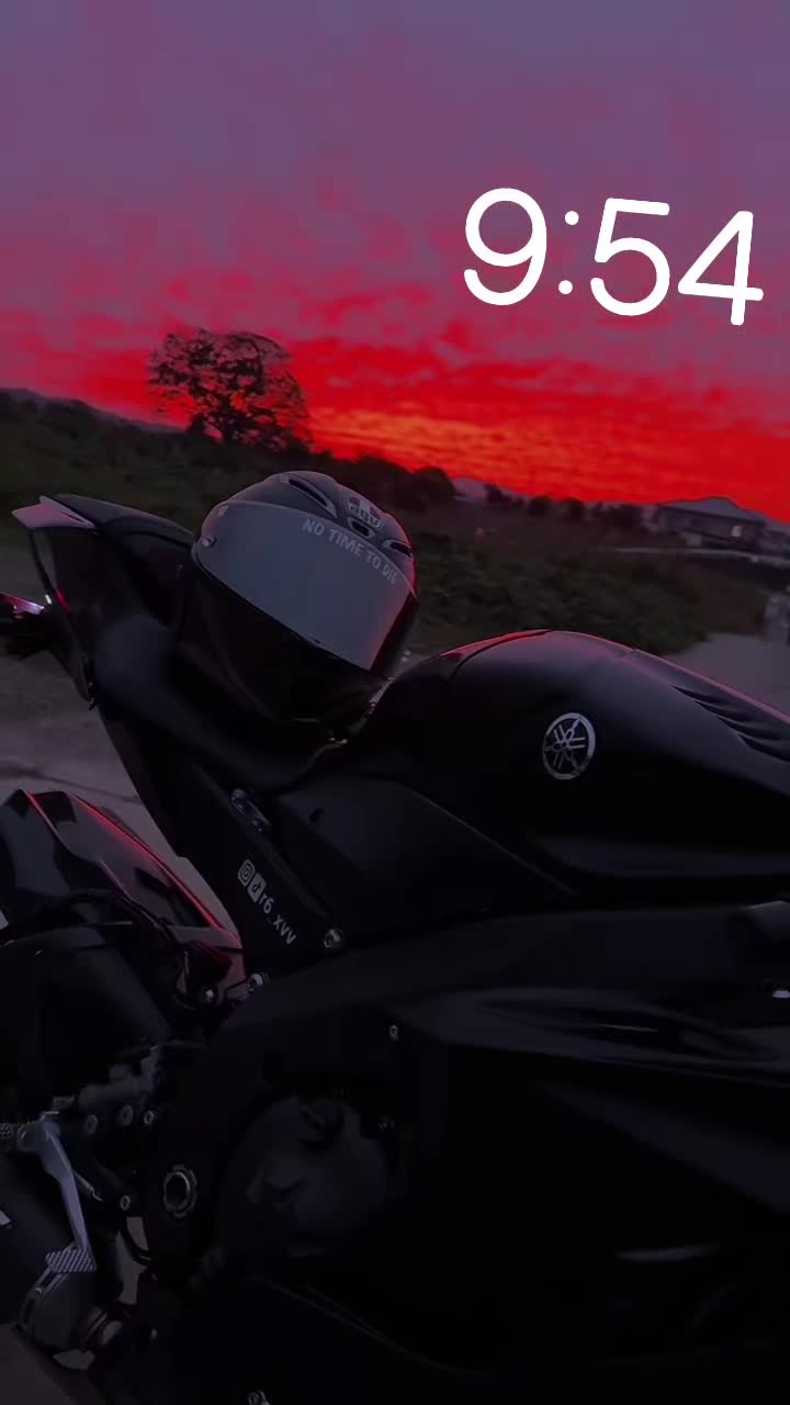 @bloodhoundliljeff
