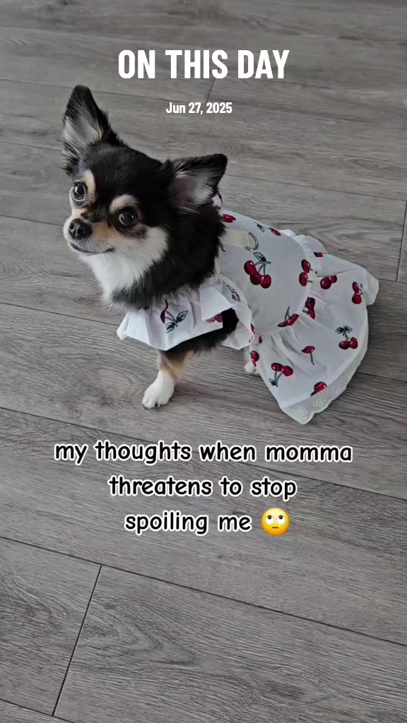 @Pawsha