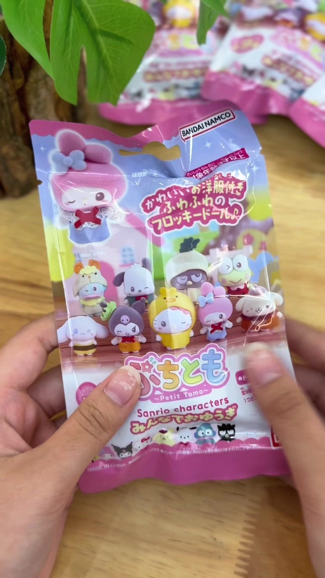 @๐๐ฝ๐พ๐๐๐๐๐ก