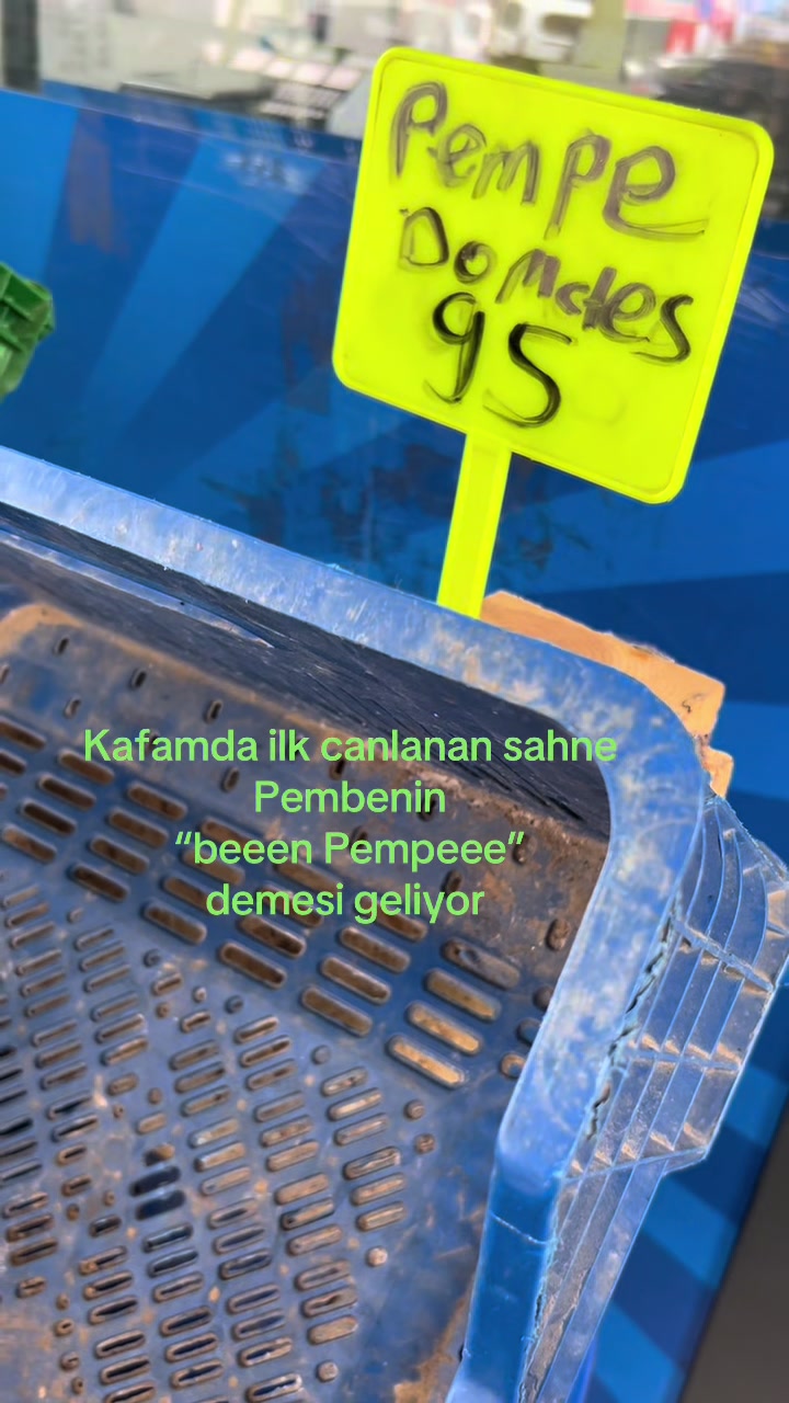 @asmreldaa