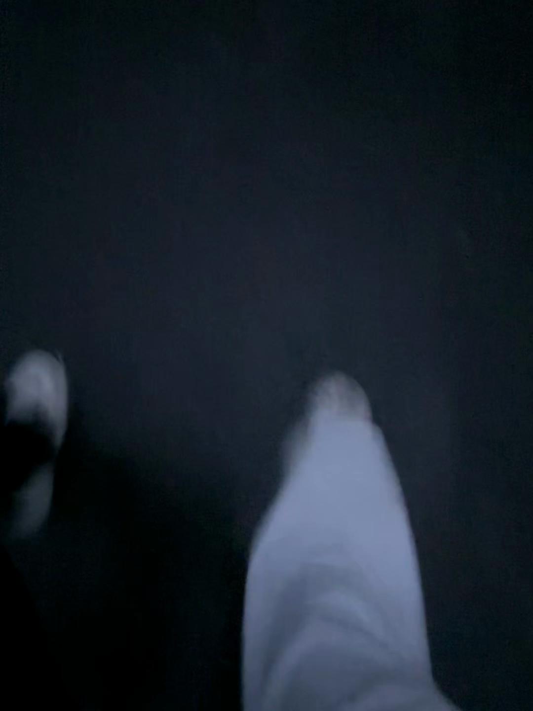 @丰ева🪽