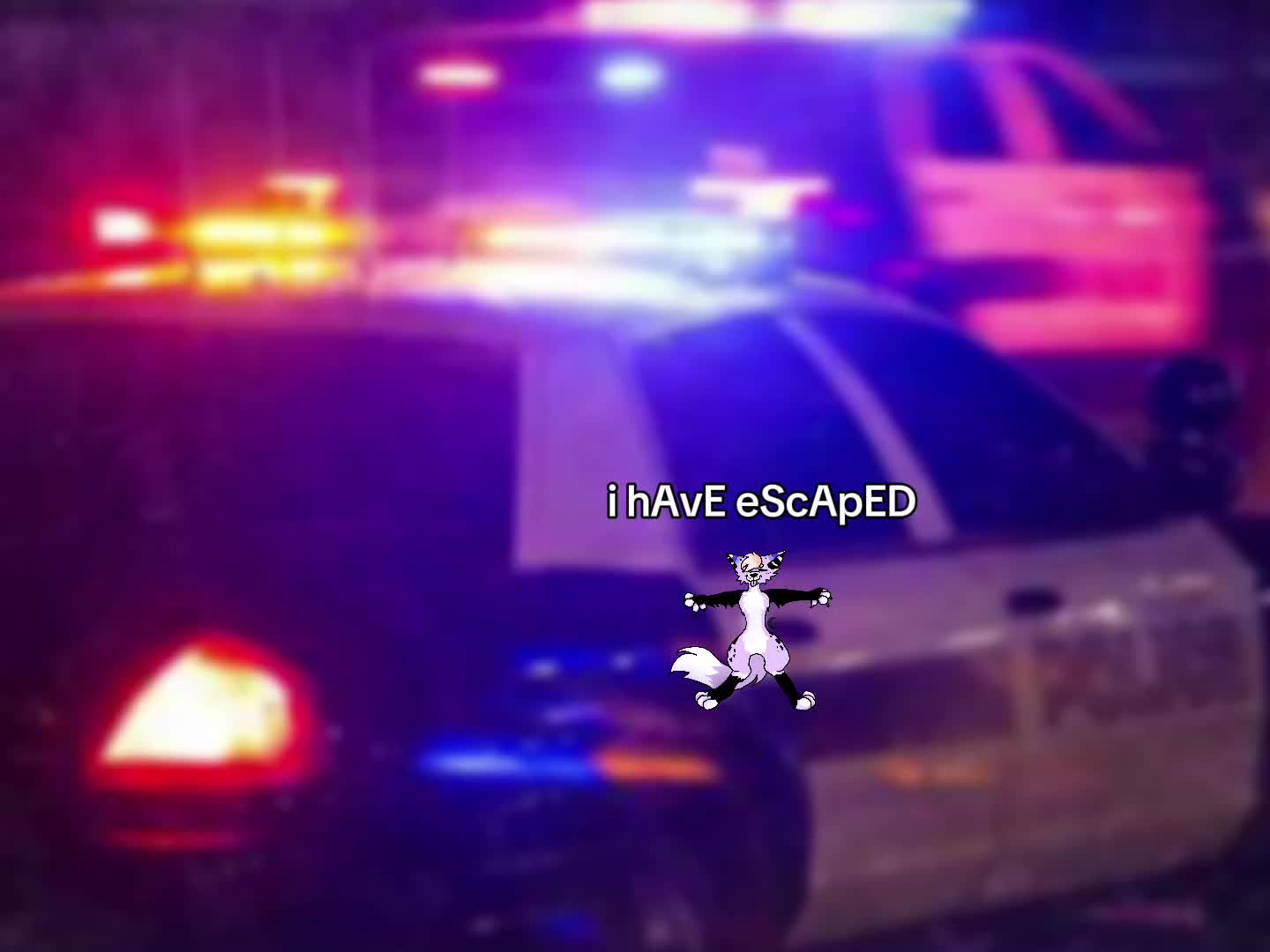 @Kyo_da_Wolf