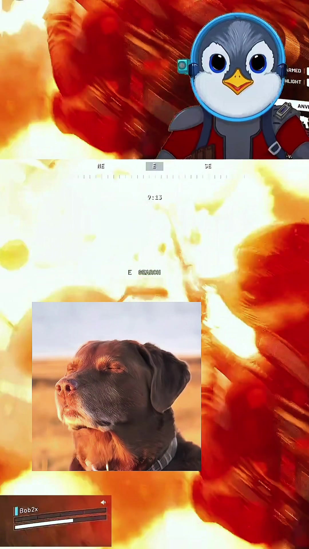 @Bob2x