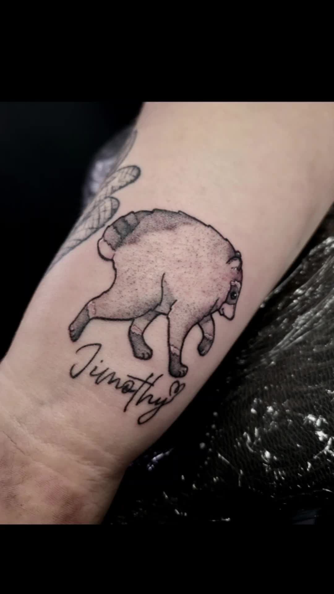 @StabDaddy