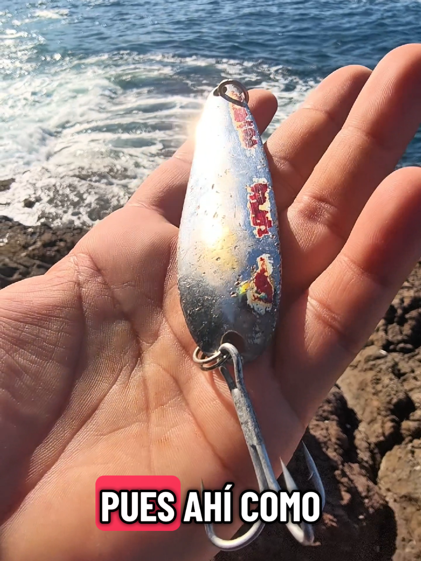 @Alex el Pescador🔥