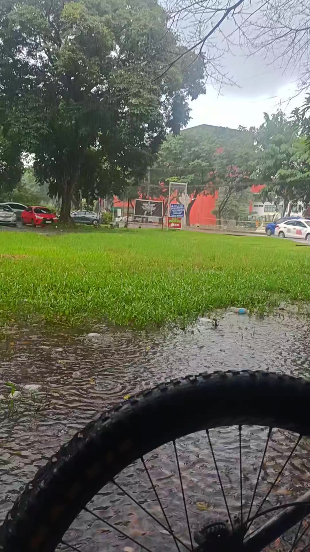 @PAW Mtb rides