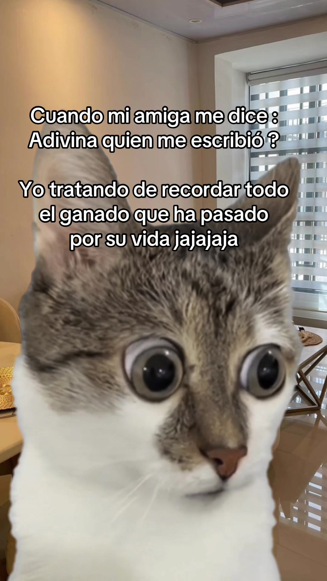 @LUZ RUEDA