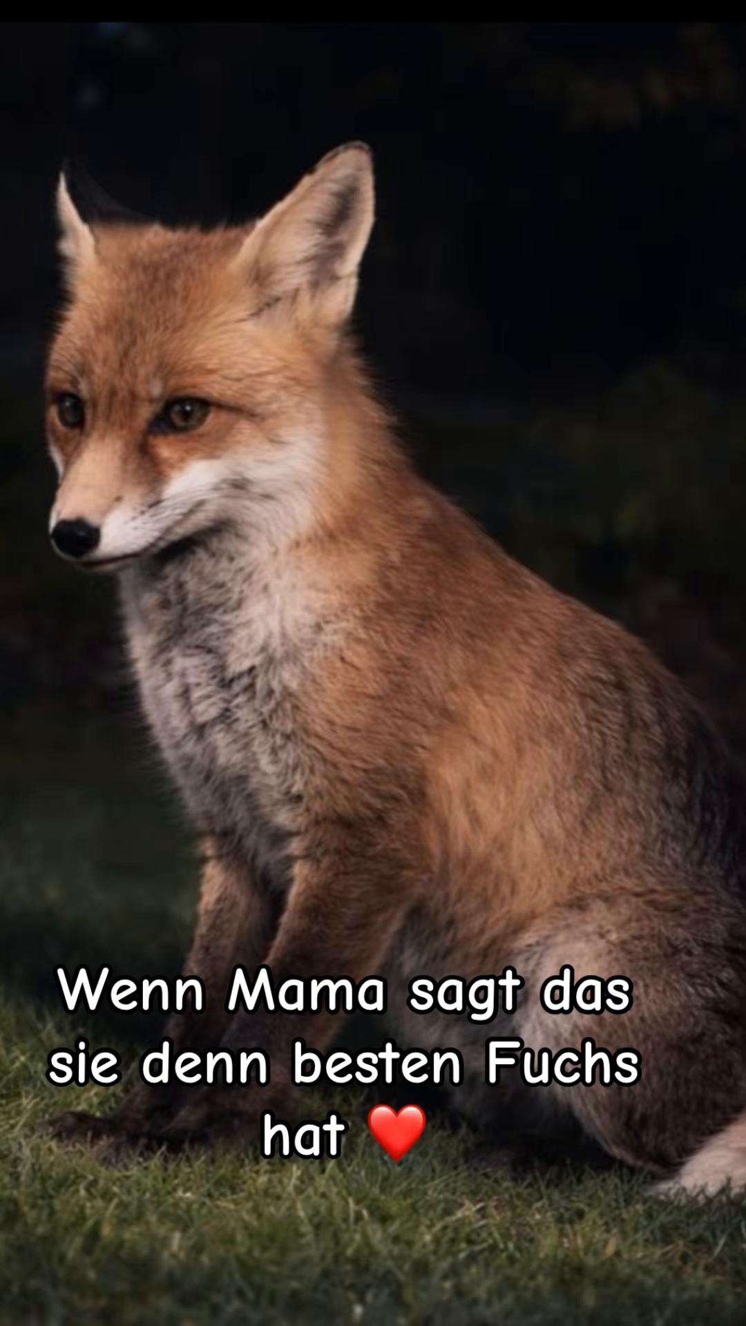@🦅🦉🐺XxxxBINExxxX🐺🦉🦅