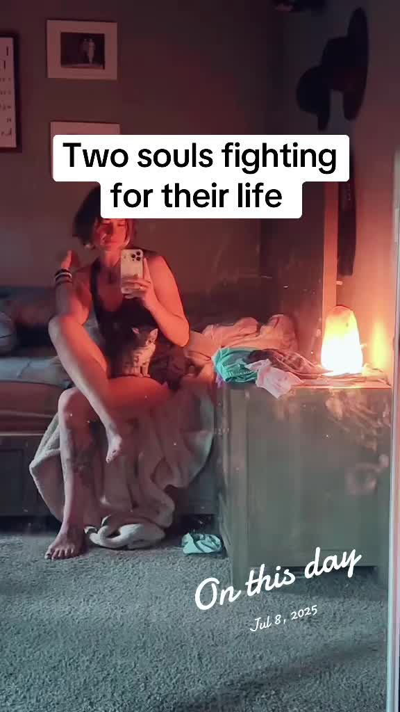 @thosemindfulvibes
