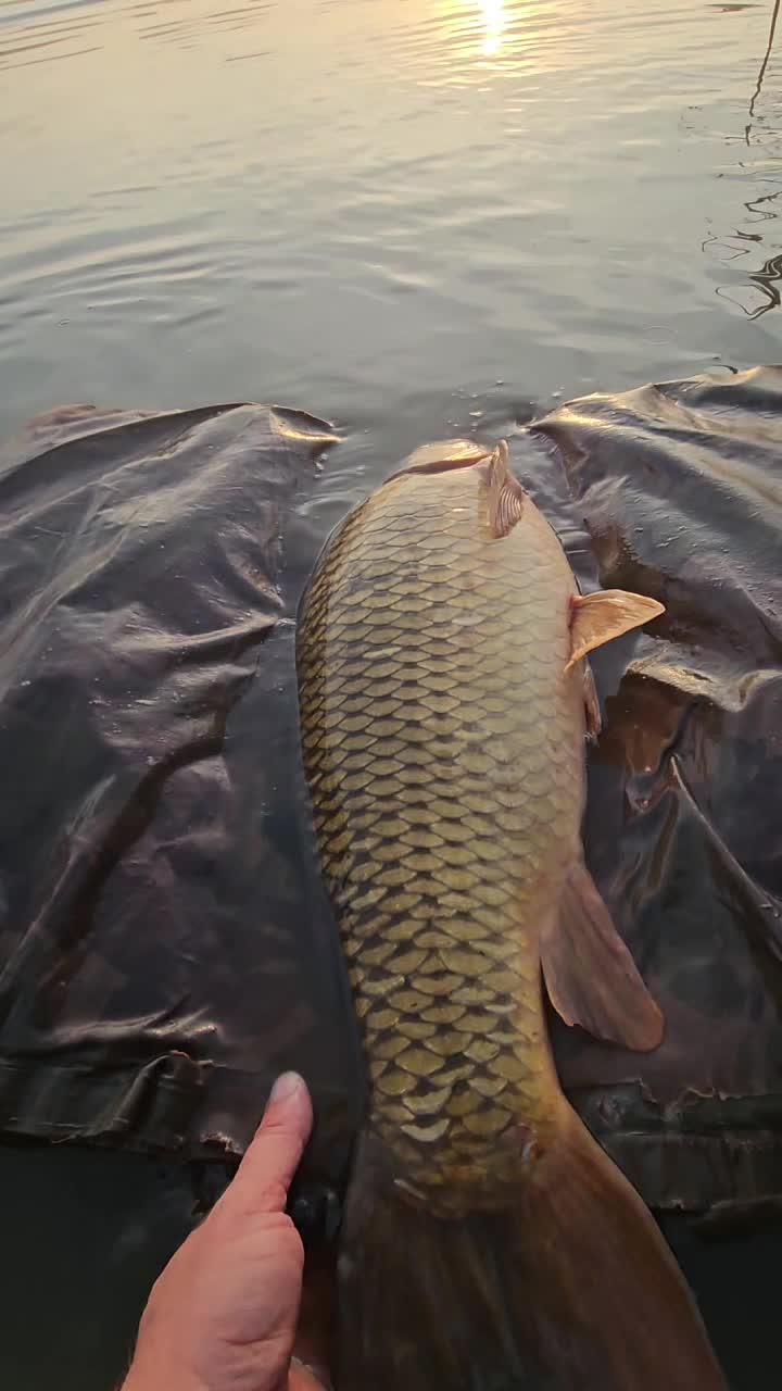 @🎣 Lee Preston 🎣