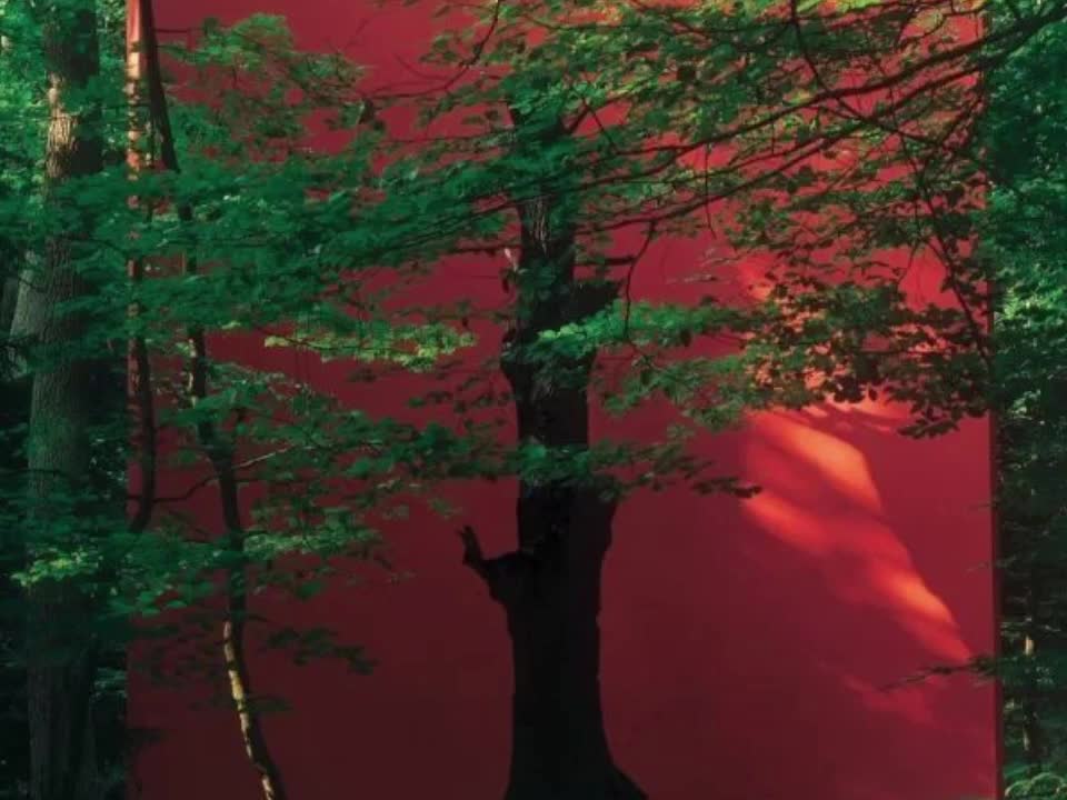@🌴
