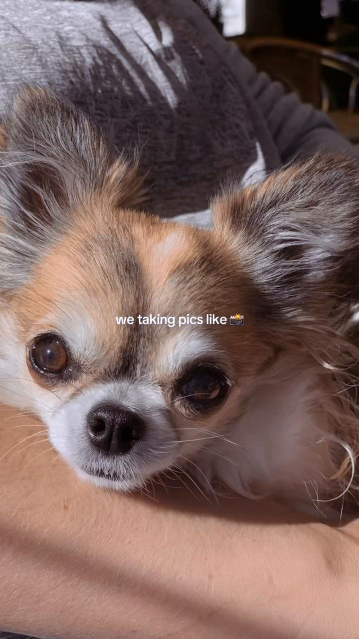 @Nadine