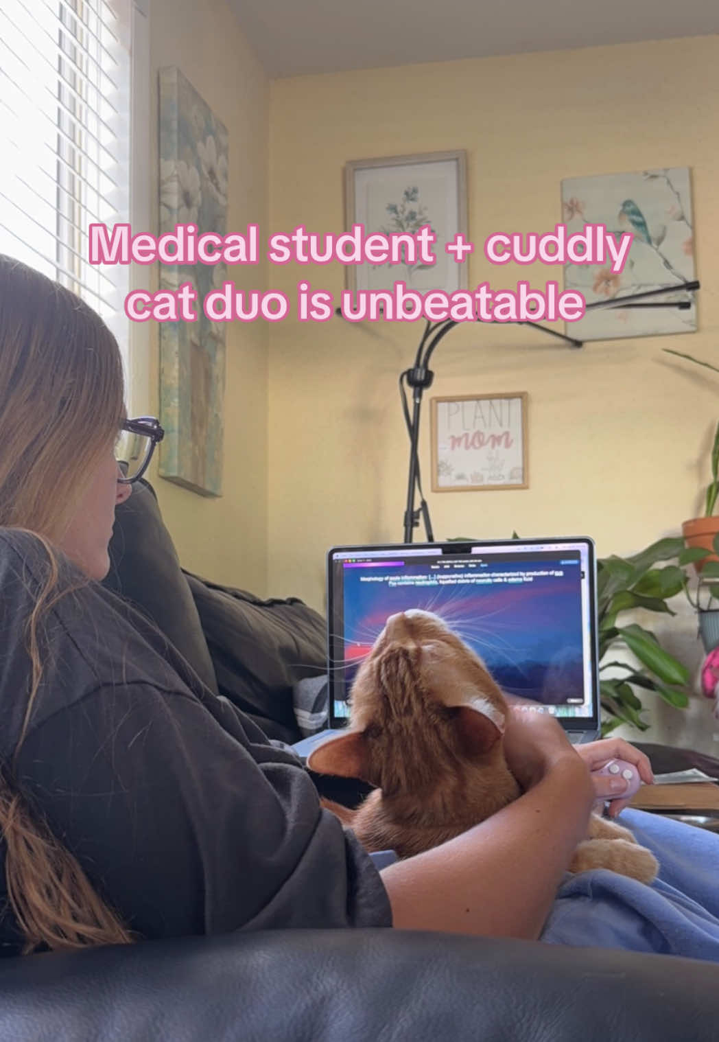 @Ameliaa | OMS2 🤍🩺