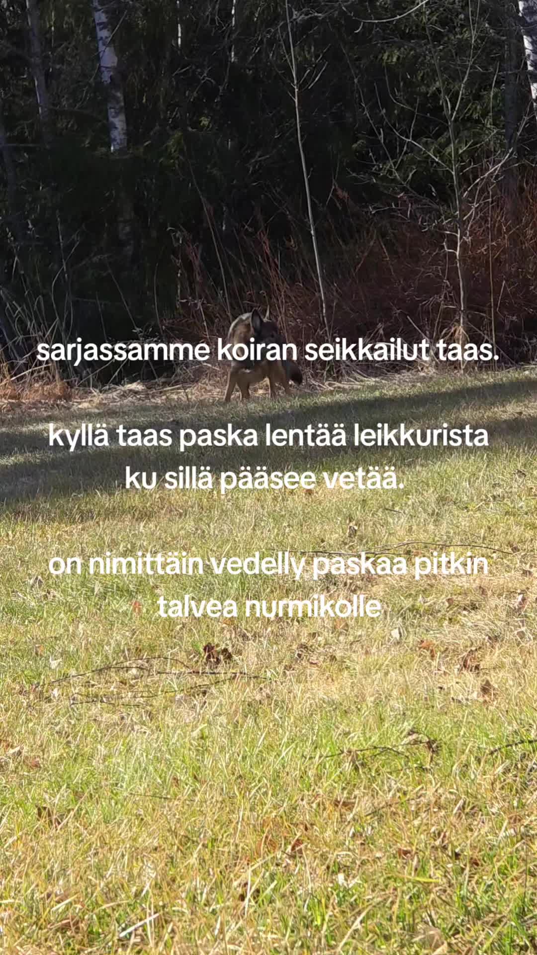 @Patrick