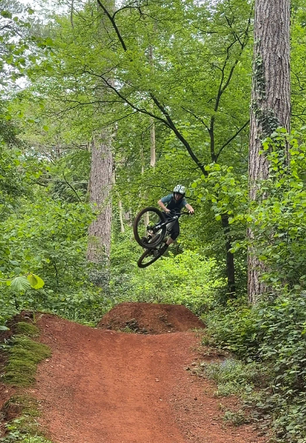 @Dom.Krajewski