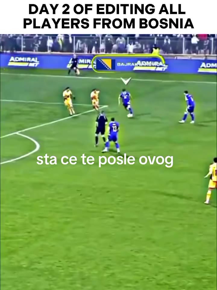 @tim bajrektarevic
