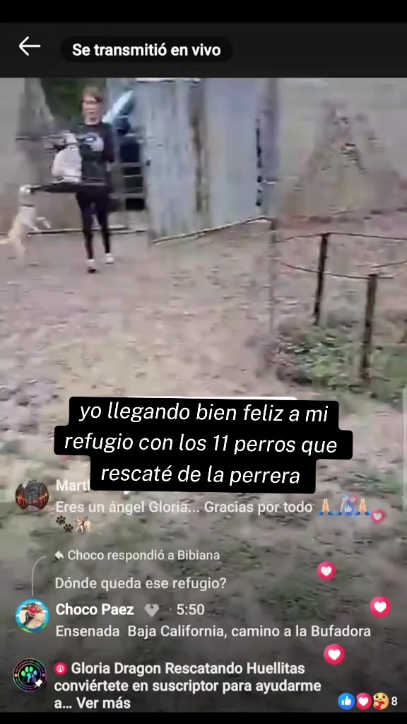 @Gloria Arellano Ramirez